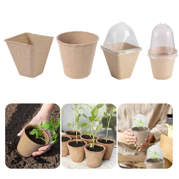 Seedling Pots with Transparent Lid 1