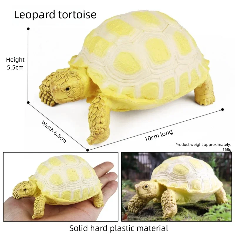 Oenux Simulations-Schildkröten-Set: Alligator, Galapagos-Schildkröte, Chinesische Weichschildkröte Figuren und Puppen – Detail 6