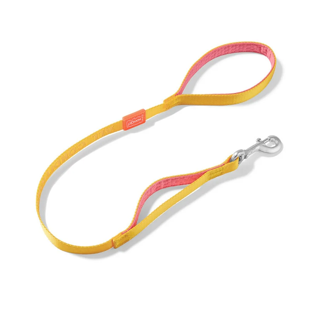 

Dog Leash with Double Handle Heavy Duty Dual Handle Pet Leash Lead Soft Padded Walking Training for Puppy Small Medium Large Dog