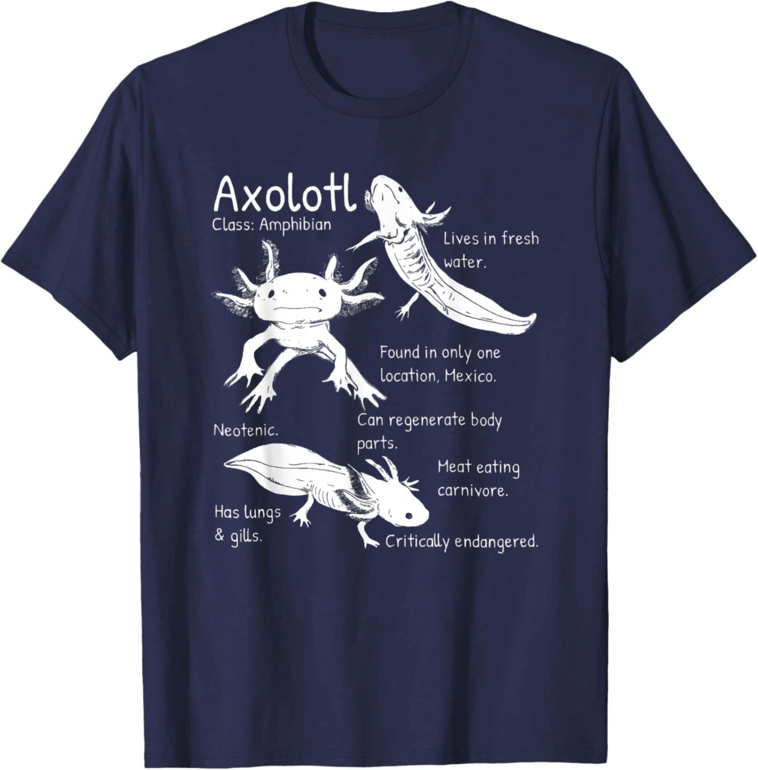 Axolotl Facts Species Types Endangered Animals Illustration T-Shirt Customizable Funny Individuality Cotton Printed T-shirt