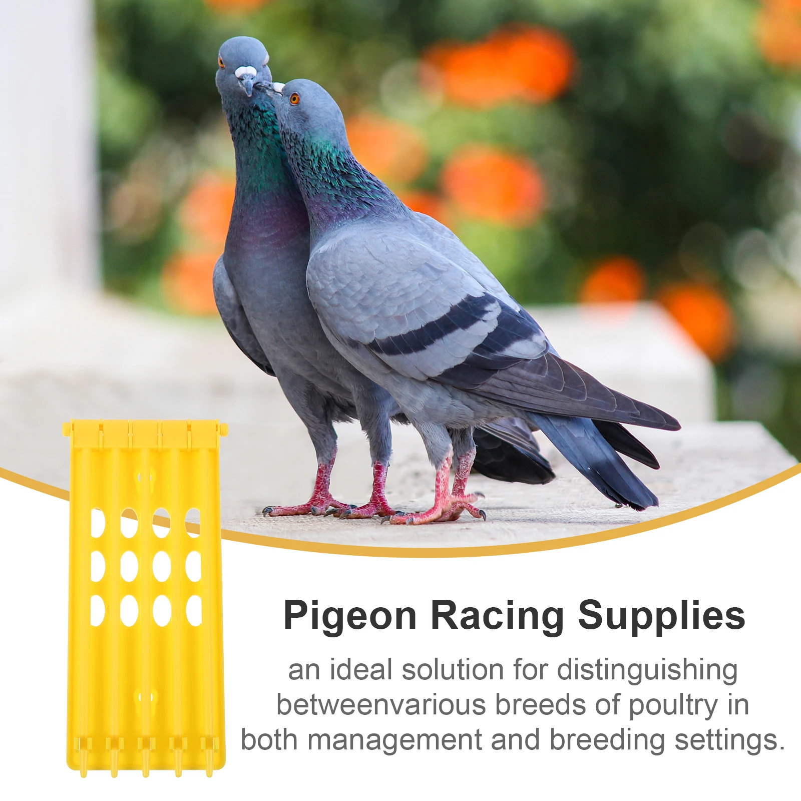 

Pigeon Leg Ring Frame Strong Resistance Against Wear Durable Plastic Pigeon Racing Accessories Supplies Bird Foot Rings Holder