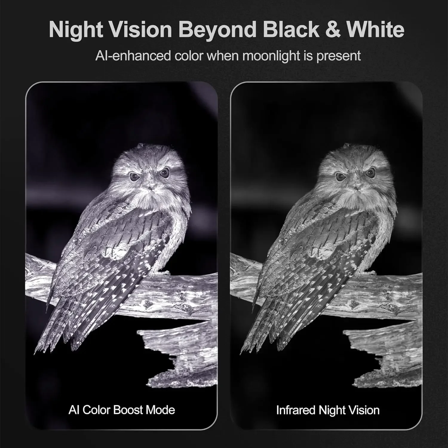 نظارات Night Thunder X3 للرؤية الليلية - مناظير رؤية ليلية بدقة 4K AI للبالغين مع صورة 40 ميجابكسل