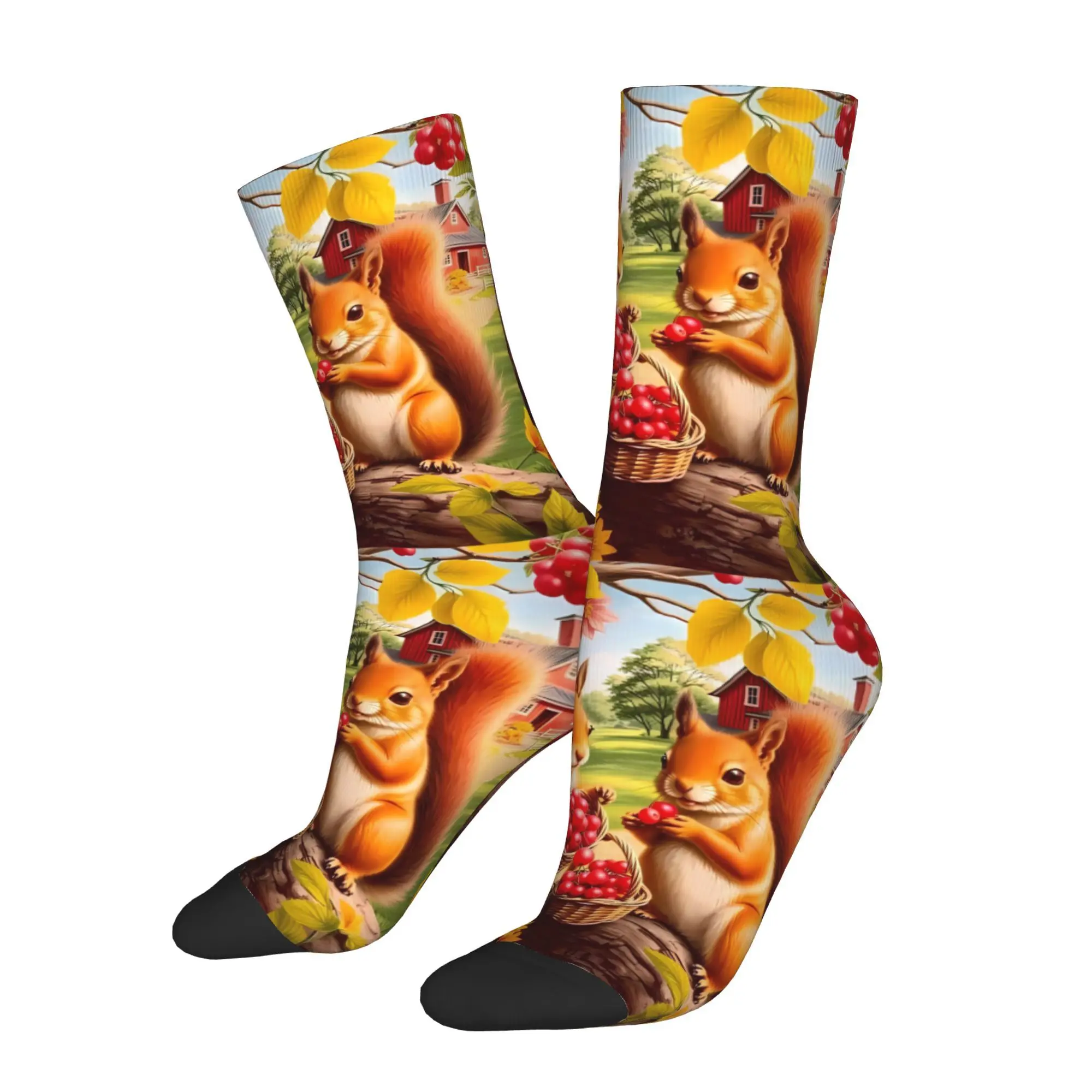 

Squirrel In The Tree Socks Male Mens Women Winter Stockings Hip Hop