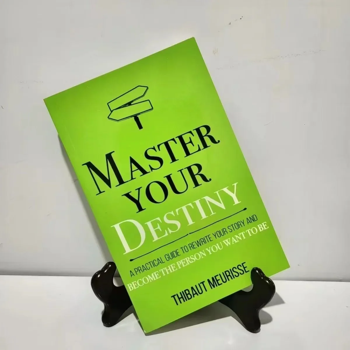 Master Your Destiny By Thibaut Meurisse Inspirational Literature Works To Control Emotions Novel Book