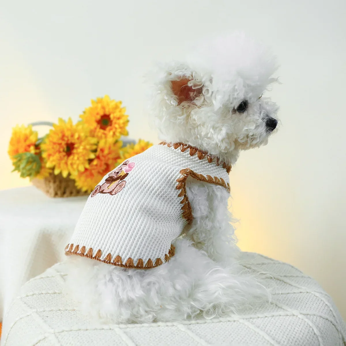 

Пятно трансграничного взрыва для домашних животных, собак, кошек, одежда, источник фабрики, весенне-летний жилет с медведем, цельный, отправленный от имени