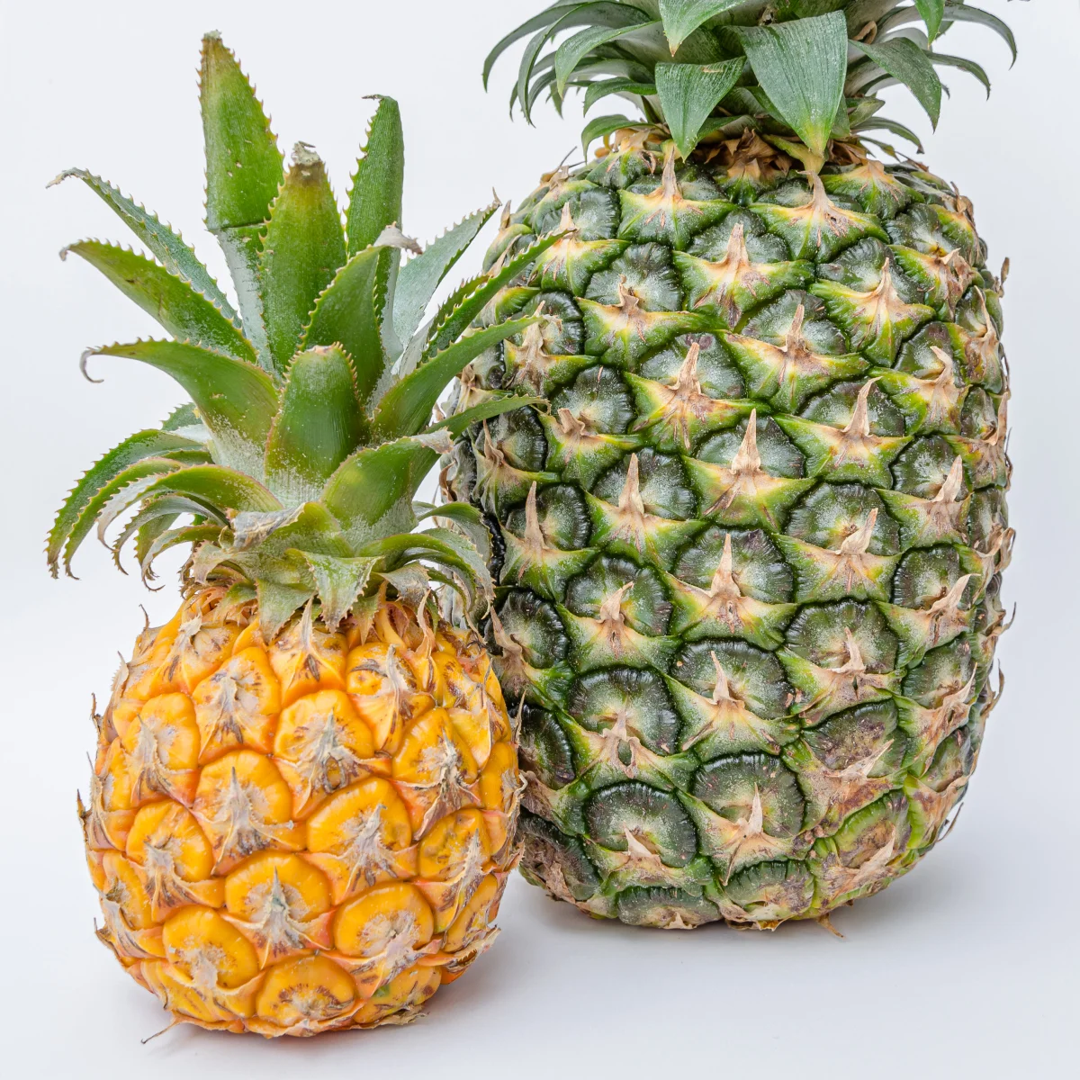 

BL1013 10.8V 12V 3.0Ah Lithium Replacement Rechargeable Battery for Makita Power Tools TD090D DF030D DF330D MUS052D