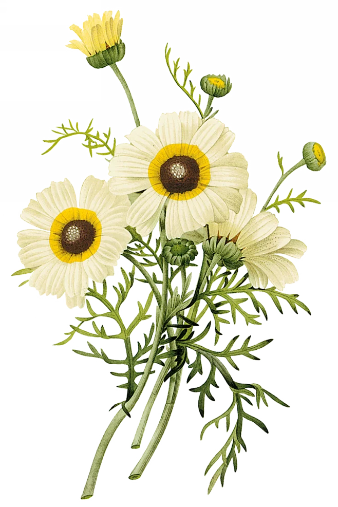 

for WPL E-1 1/16 RC Tank Toy 2.4G 4WD Super Crawler Tracked Remote Control 1:16 Off-Road Vehicle Electric kids RC Toys for Boys