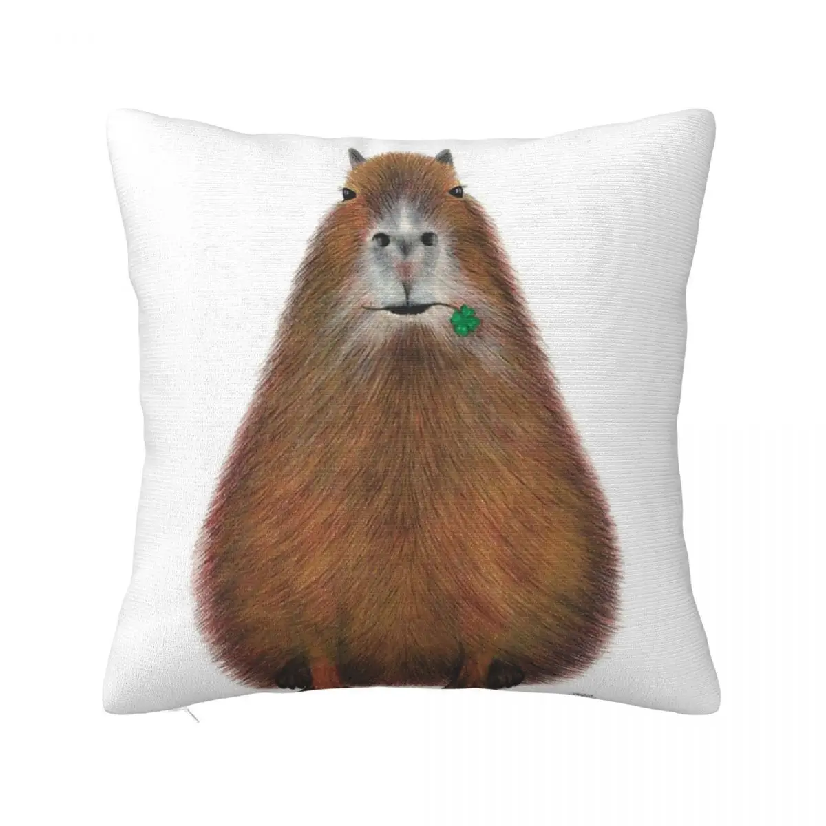 

Capybara High Quality Hand Made Body Pillow Cushions Cover Decoration For Bedroom Pillow Case Pillow Cover