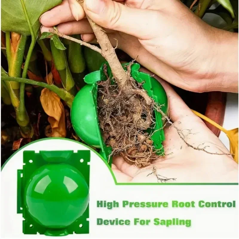 

25pcs Plant Rooting Ball High Pressure Propagation Box, Reusable Air Layering Kit for Tree Cutting & Sapling Root Control