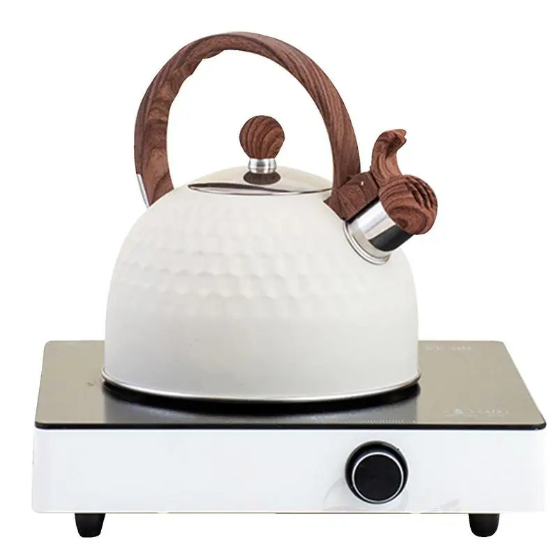 

Whistling Tea Kettle Stainless Steel Teapot for Stovetop 2.5L Instant Water Heater with Rubber-Wrapped Handle Suitable for Home