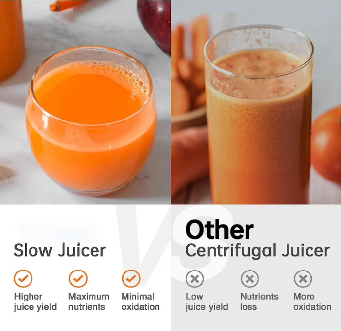 Home small chewing type slow juicer, easy to clean travel bottle juicer, vegetable, fruit automatic juicer