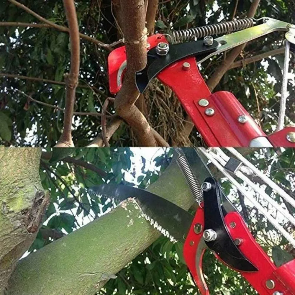 Imagem -03 - High Altitude Extensão Branch Scissors Extensível Fruteira Poda Pruner Árvore para 3cm Grosso Ramos Ferramenta de Corte