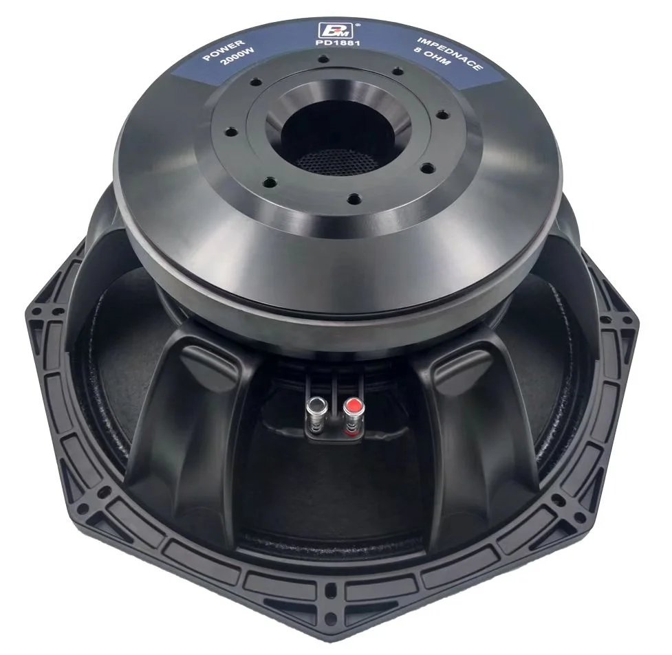 Professional PA Speaker With 18-Inch 280mm Magnet And 5-Inch 125mm Voice Coil PD1881