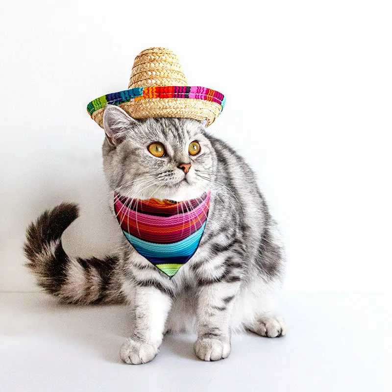 Straw Sombrero Mexican Hat Pet Adjustable Buckle Multicolor Pet Straw Small Dog Cat Hat Funny Summer Cap