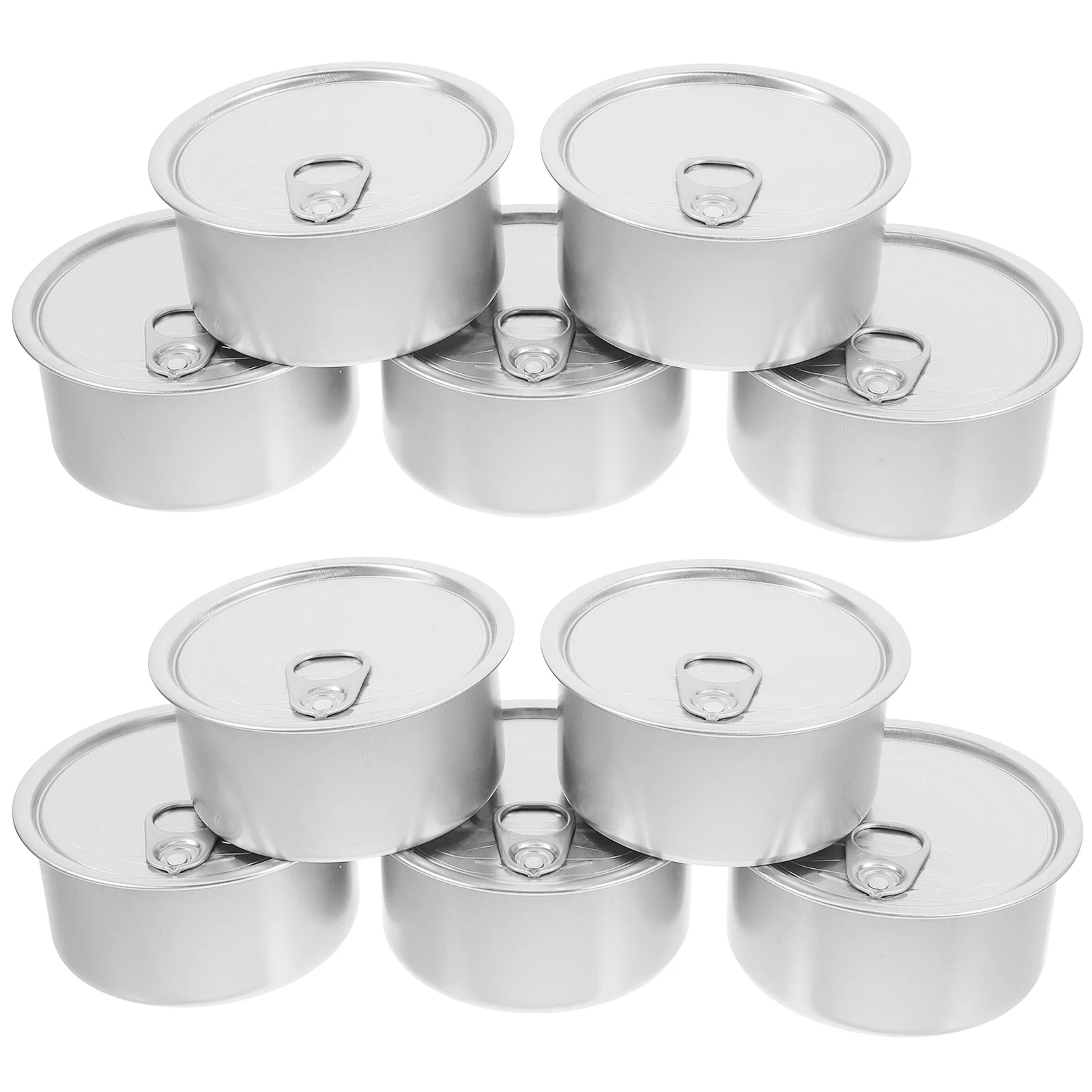 

10 Pcs Empty Cat Food Cans Oats Cake Tins Storage with Cover Chia Pudding Jars Lids Mugs