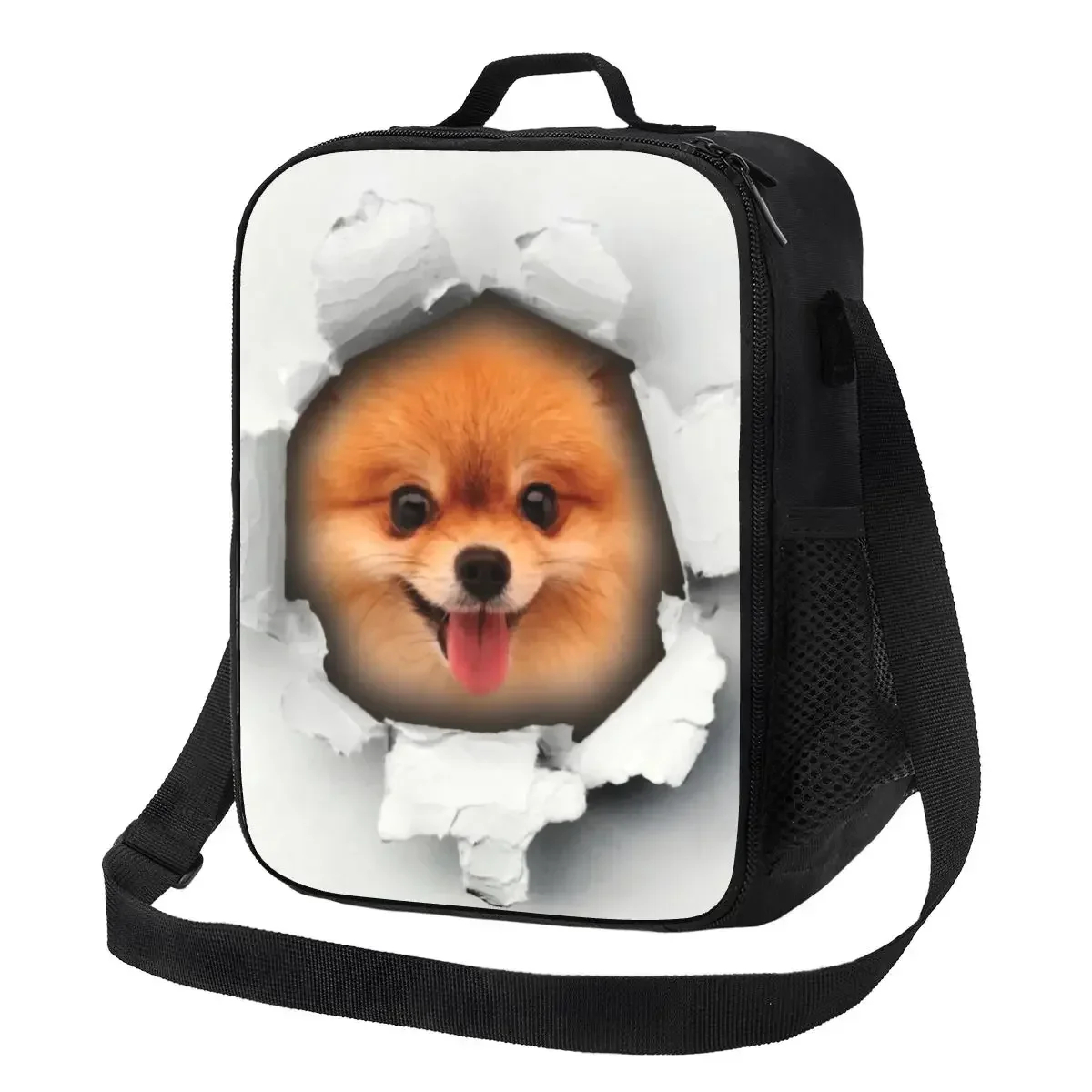 Cute Pomeranian Dog In A Hole Insulated Lunch Bags for School Office Spitz Puppy Waterproof Thermal Cooler Lunch Box Women Kids