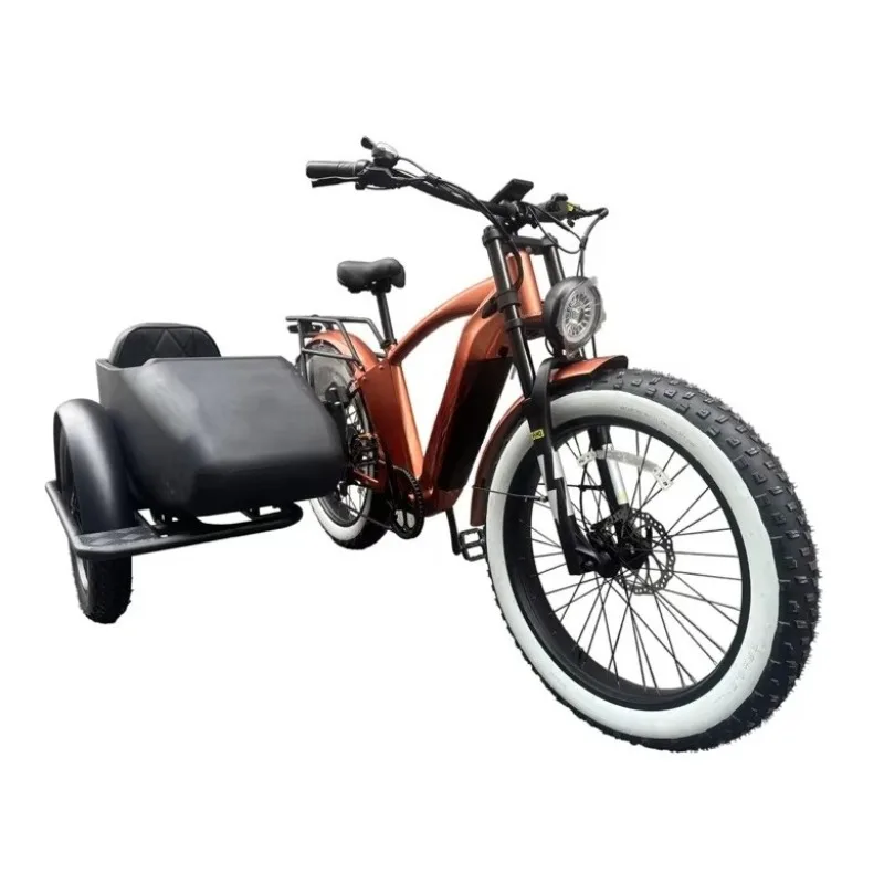 sidecar adult tricycle cargo tricycle 750 w hidden etrike sidecar