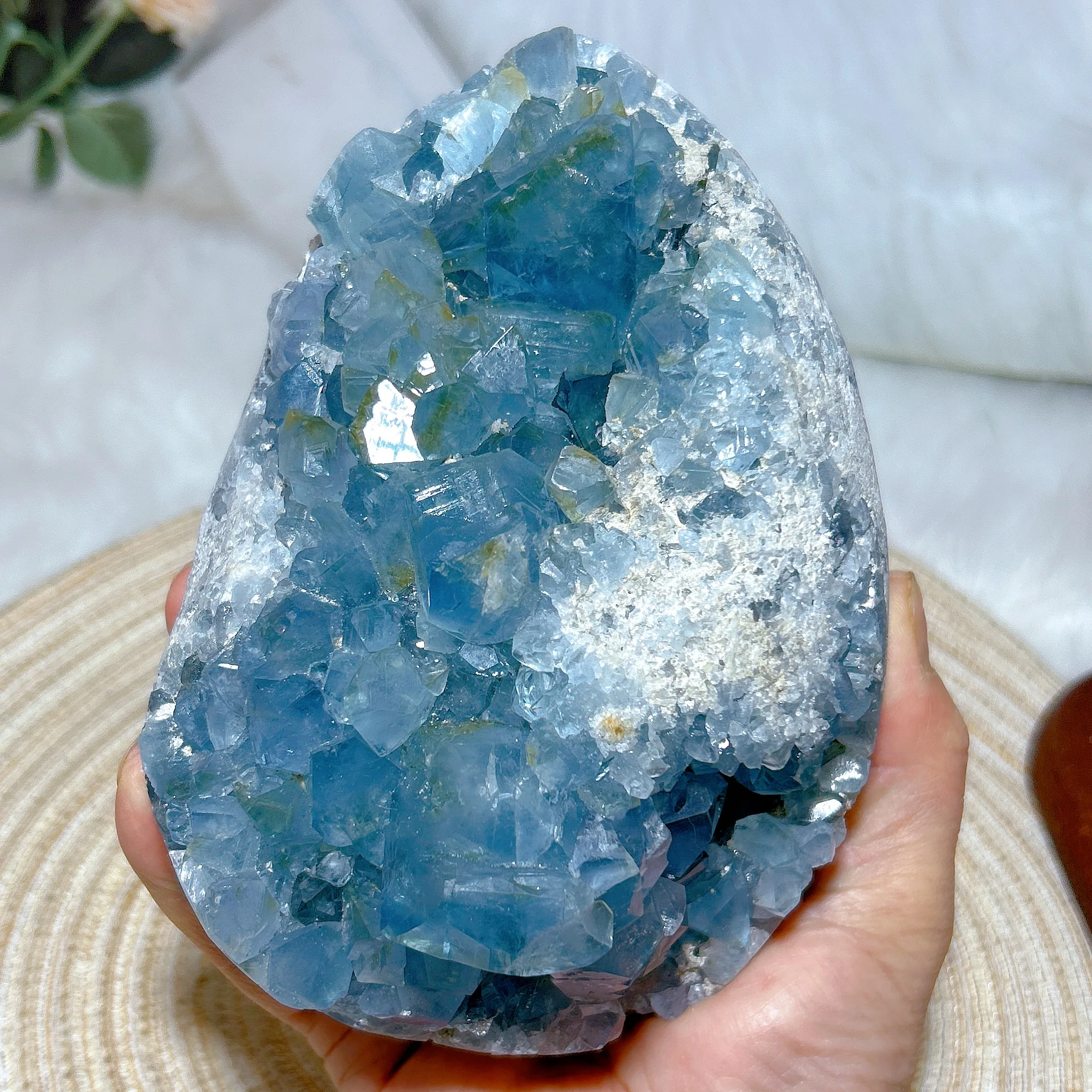Healing Natural Crystals Blue Celeslite Cluster Raw Stone Specimen Large Egg High Quality Gemstone Home Decoration Energy Gift