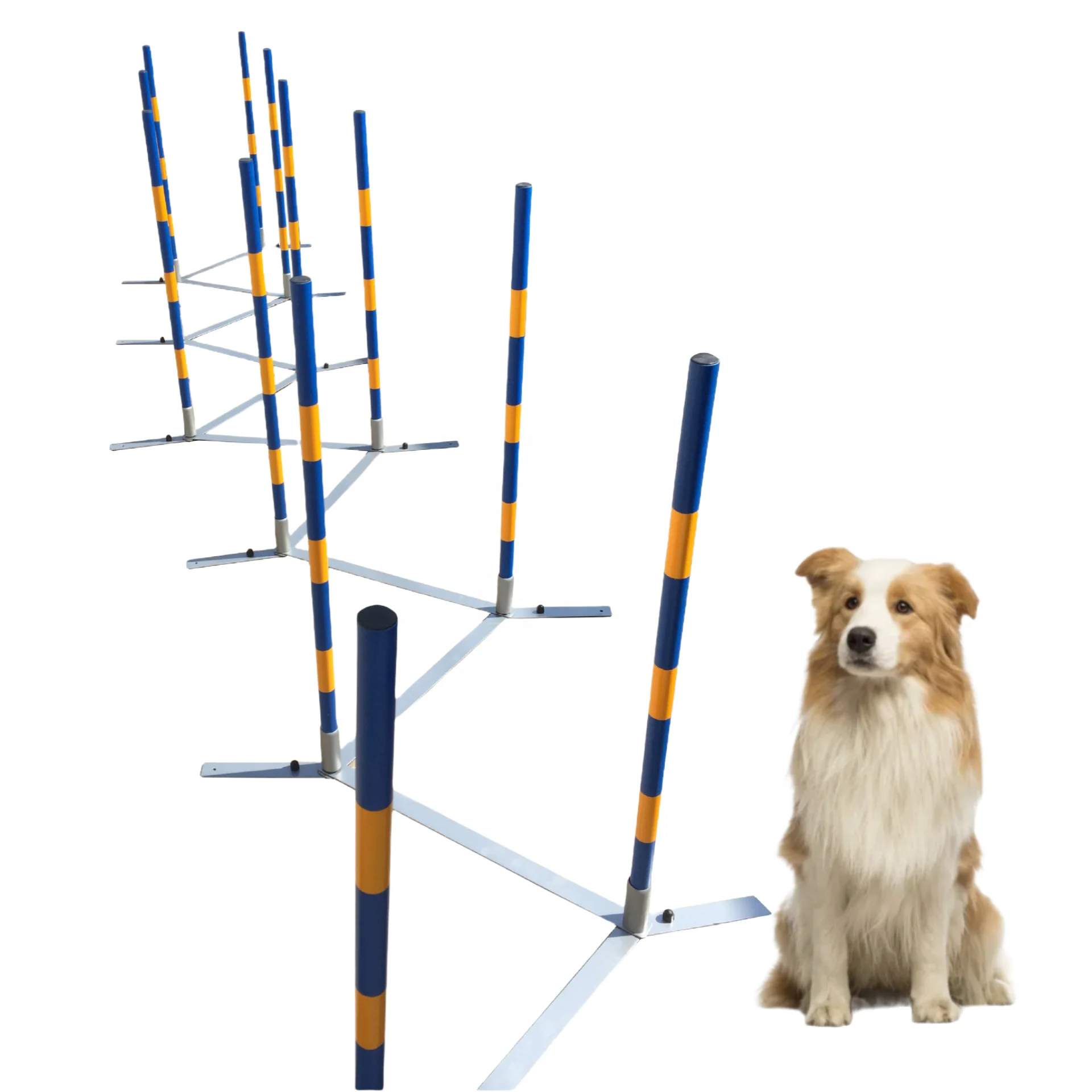 

USMILEPET Competition Grade Dog Obstacle Course Dog Agility Training Equipment Dog Around Pole