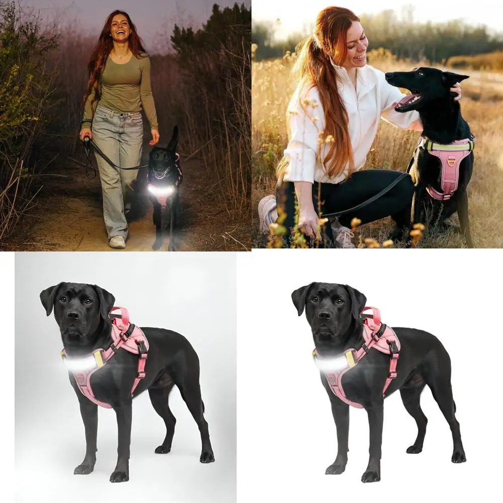 

Illuminated LED Dog Harness for Enhanced Night Safety - 1000 Lumen, Rechargeable, Adjustable, Reflective Pink Vest (Large)