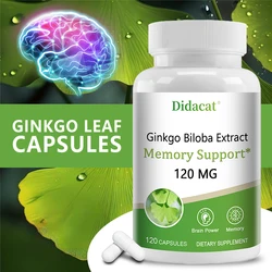 Ginkgo Biloba Extract Capsules - Promotes Brain Function and Memory, Attention, Antioxidant, Anti-Aging, Vegetarian