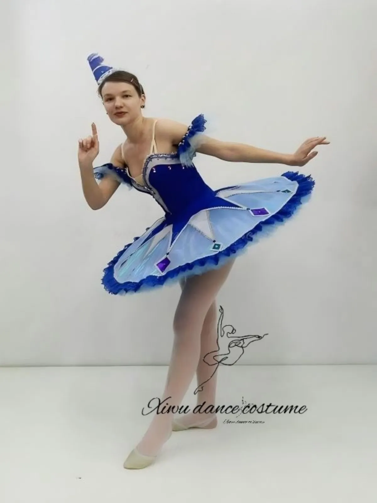Blue Purple Starry Fairy Ballet Tutu Costume, Women's Professional Stage Performance Dress with Clown Hat