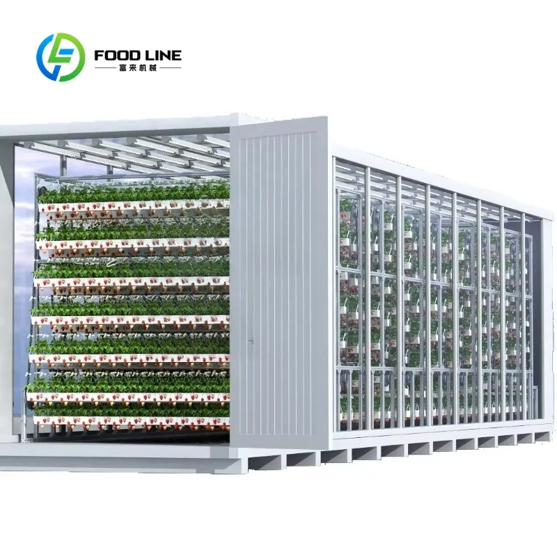

Customized Mushroom Growing Container Greenhouse Mushroom Fruiting Box for Mycelium Growth Spawn Cultivation Farm Use