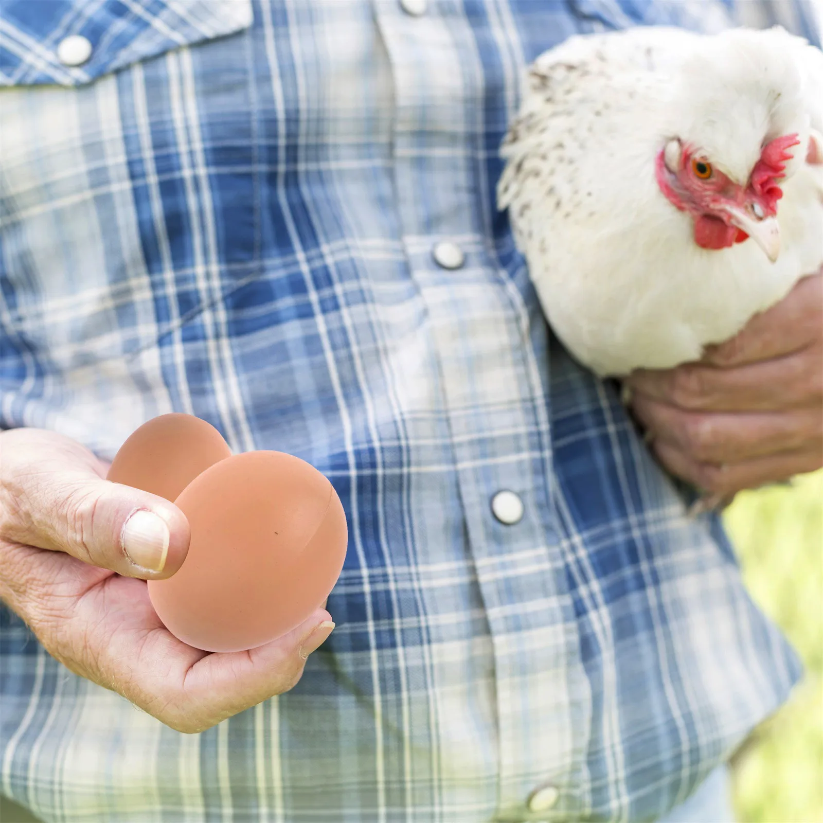 6/12PC Fake Chicken Eggs Poultry Layer Coop Hatching Simulation Graffiti Eggs Dummy Egg Hen Poultry Chicken Prank Plastic Eggs