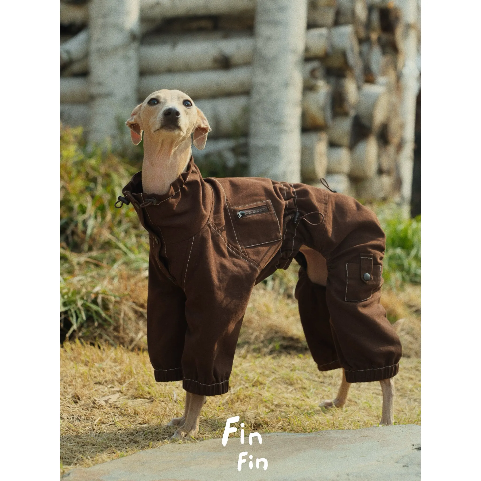 giacca-primaverile-marrone-alla-moda-per-levriero-italiano-collo-alto-vita-regolabile-abbigliamento-a-4-zampe-per-cani-whippet