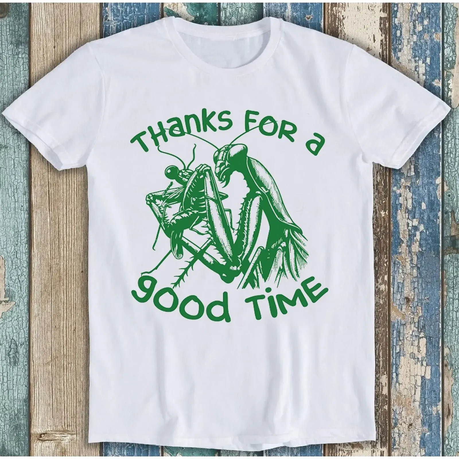 Thanks for a Good Time Praying Mantis Meme Funny T Shirt T1894 vintage Washed streetwear designer clothes Stretched homme