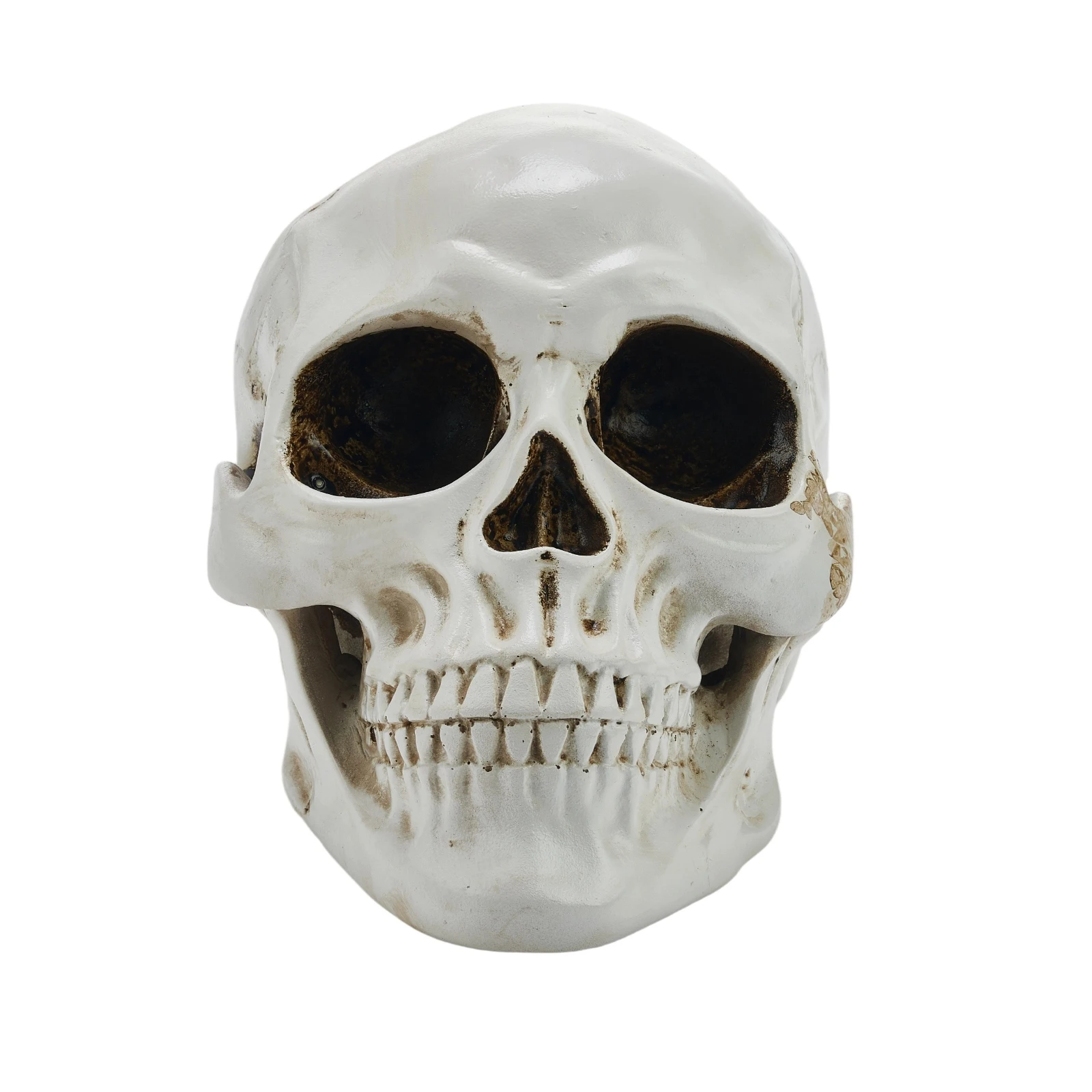 

Жуткие фигурки с головой черепа на Хэллоуин, набор из 3 реалистичных украшений из смолы для стола для домашнего офиса, настольного дисплея для праздничной вечеринки