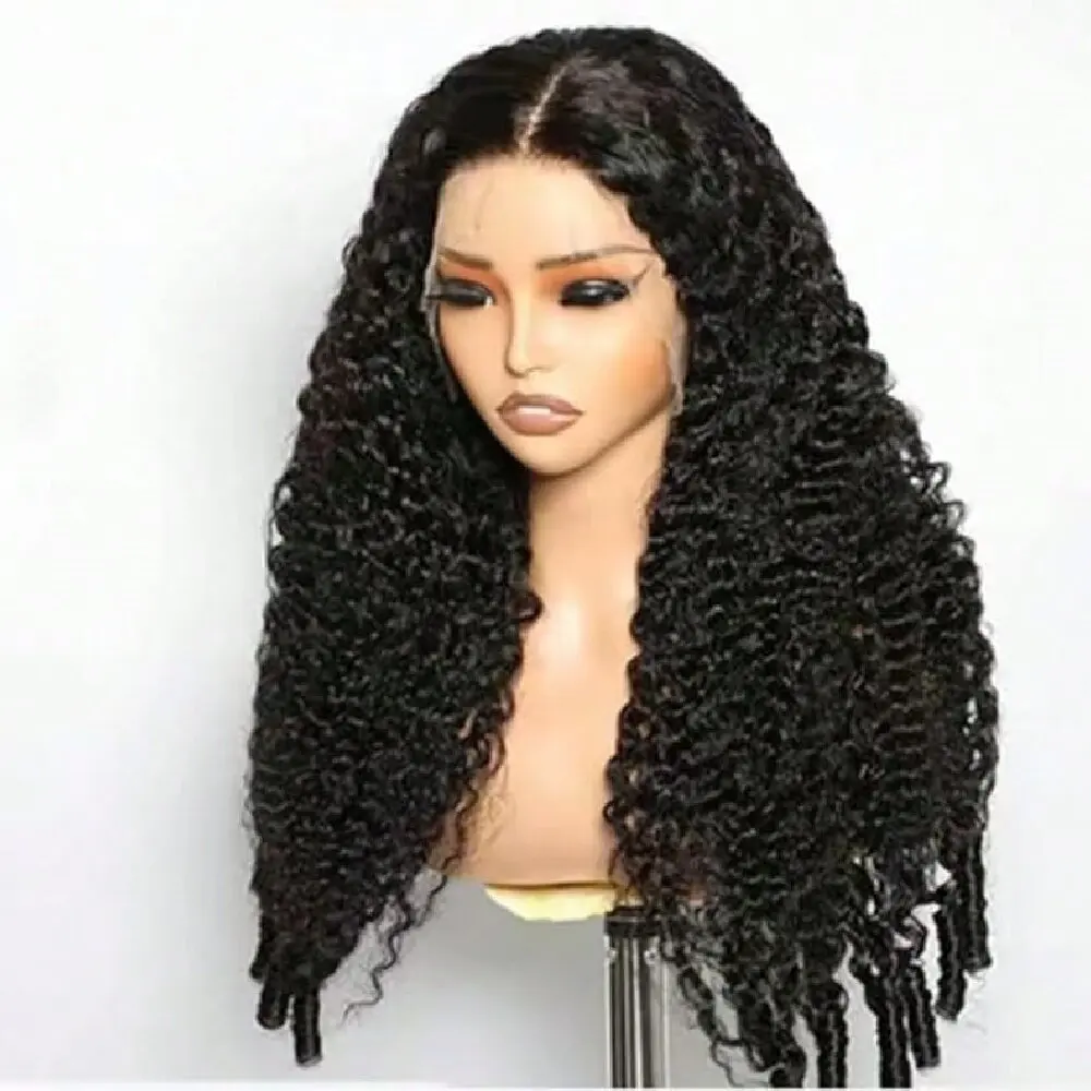 32 Inch Burmese Curly Human Hair Wigs 13X6 Transparent Lace Front Wig Raw Human Hair 250% Density 13x4 Lace Front Wig