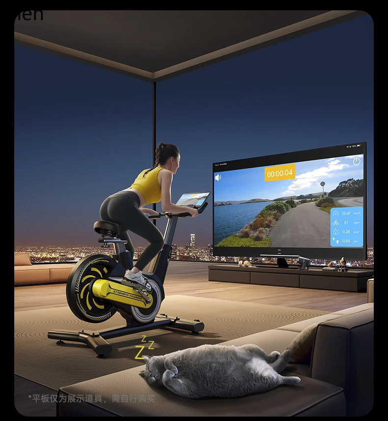 HXL Spinning Bike Silent Indoor Exercise Gym Cardio Equipment