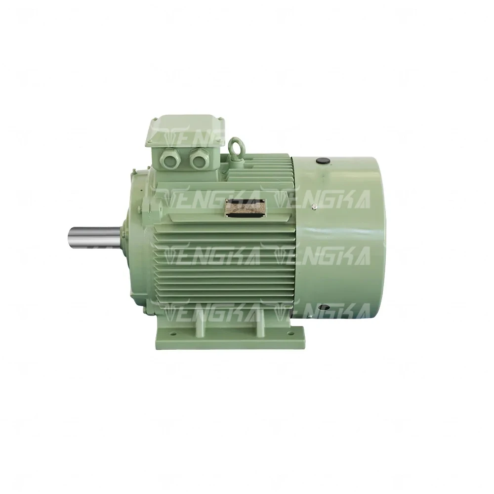 

Good Performance IE3 Asynchronous Motor YX3-180M-2-22kw Electric Motor
