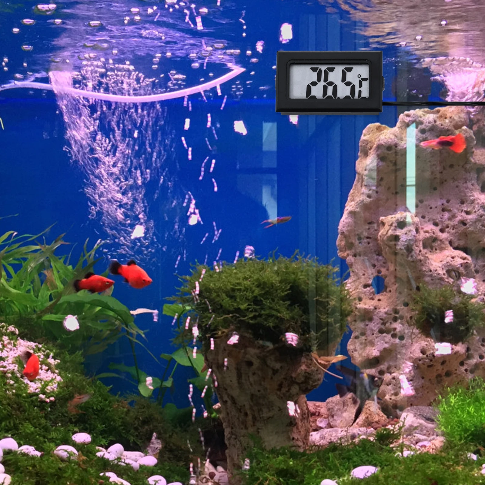 

2Pcs Mini Indoor Digital Thermometer Small Electronic Temperature Gauge Accurate Temperature Measuring Device for Refrigerator