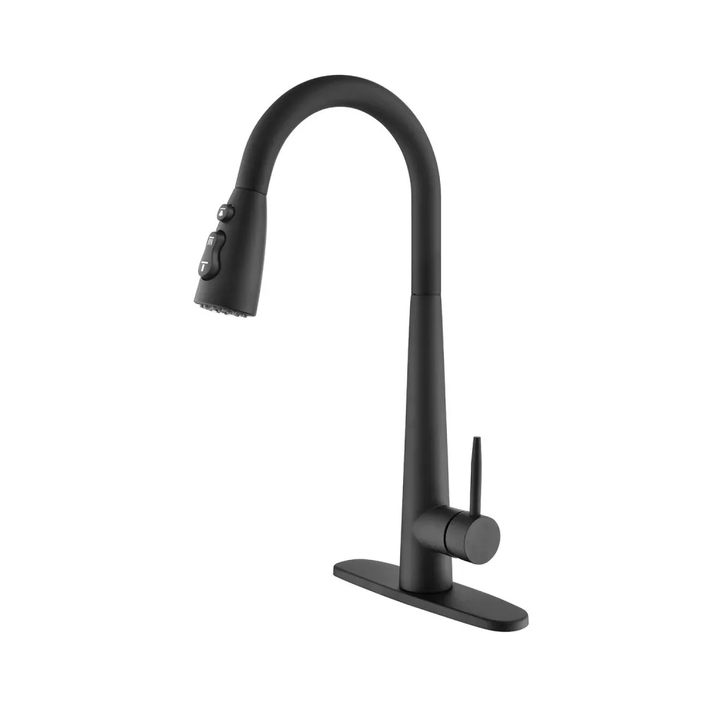 

Single Handle Stainless Steel Kitchen Sink Faucet with Pull Down Sprayer