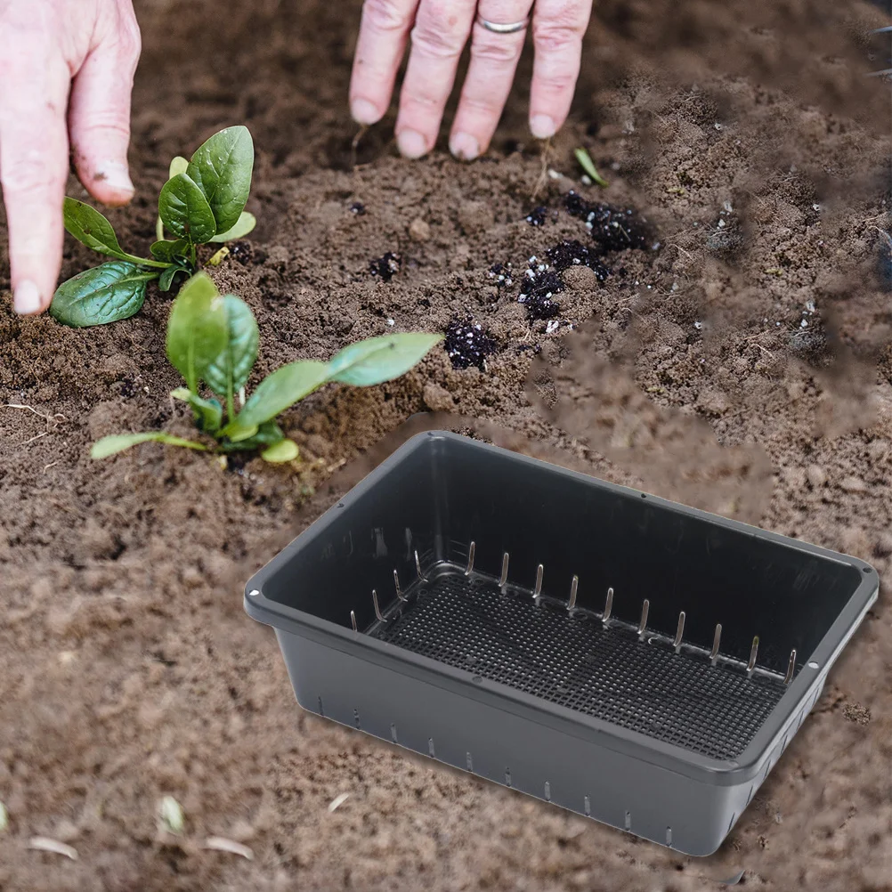 

2Pcs Seed Starting Tray Plastic Germination Box for Microgreens Succulents Salad Leaves Transparent Cover High Light Penetration