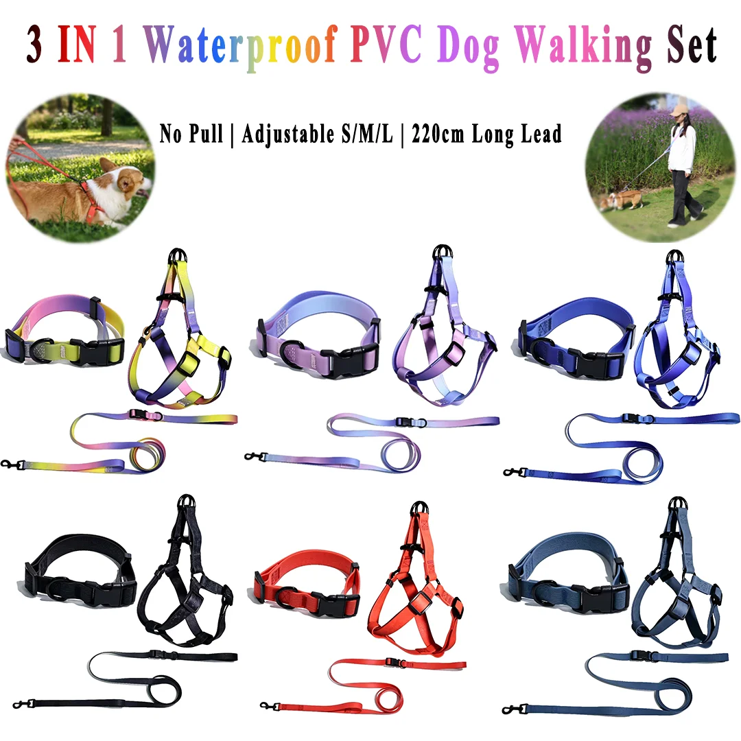 Ensemble Harnais, Collier et Laisse pour Chien en PVC Imperméable 3-en-1, Réglable, Anti-Traction, Laisse d'Entraînement de 220 cm pour Chiens de Petite, Moyenne et Grande Taille