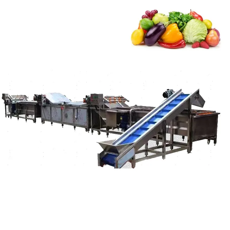 Yoursjoys Stainless Steel Automatic Multi-Voltage High-Capacity Fruit Vegetable Washing Cutting Drying Processing Line for