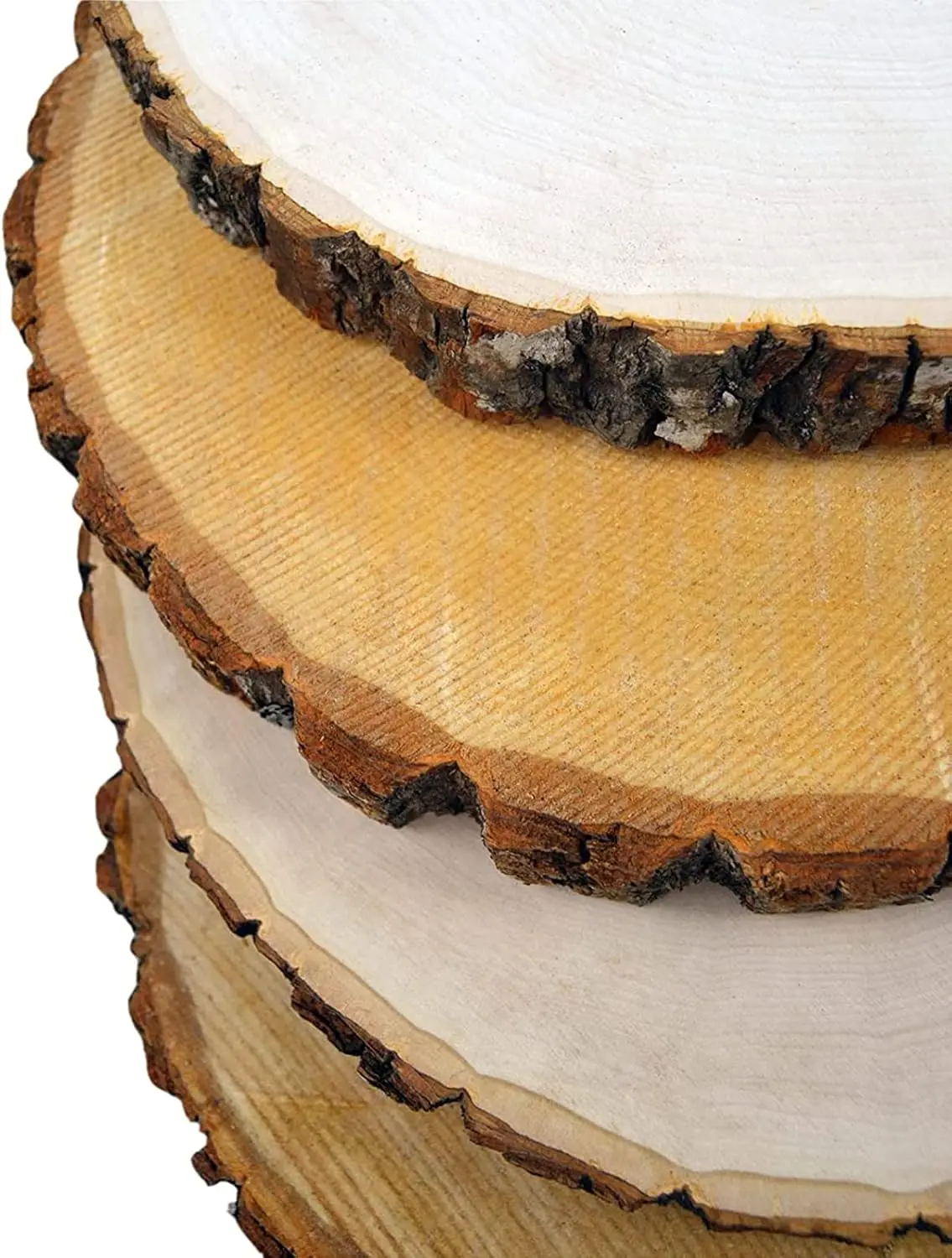 12-Pack Basswood Round Wood Slices 9-12