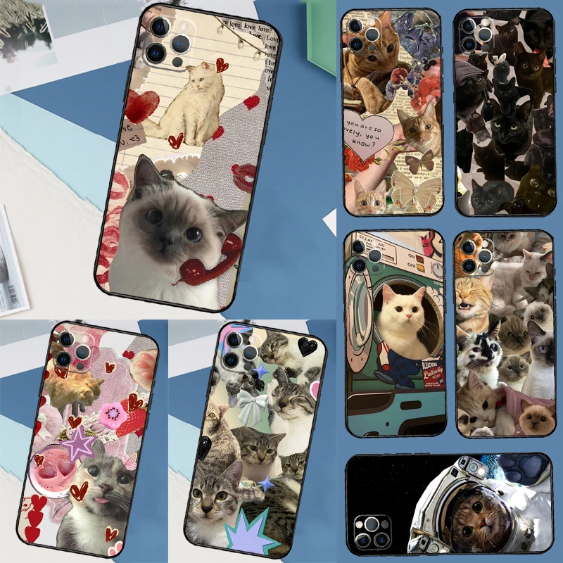 Funny Cute Kitty Ca… - image