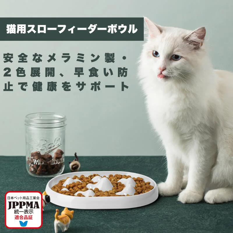 yZ[zyJPPMAF؁zLp X[tB[_[{E ~ aM ybgH ^E^Lp ~ߕt Hh~ H@Ή 2FWJ v 􂢂₷@MSBC