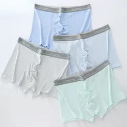 Summer Teens Boy Thin Breathable Mesh Panties 4PCS Kid Solid Daily Knickers Teenagers Modal Soft Comfort Antibacterial Underwear