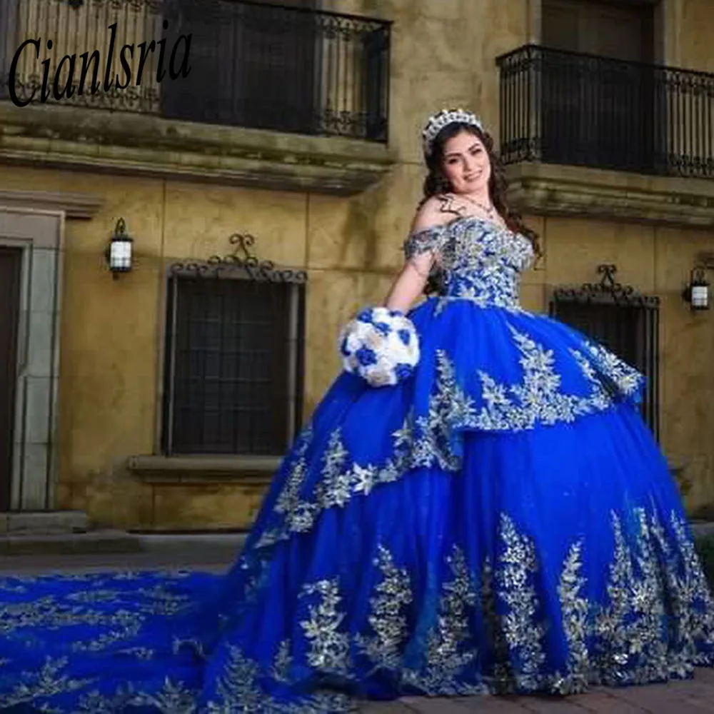 Royal Blue Quinceanera Dresses Princess Dress Sleeves 3D Rose Floral Party Birthday Dress Beaded Long Lace Up Corset Sweet 15