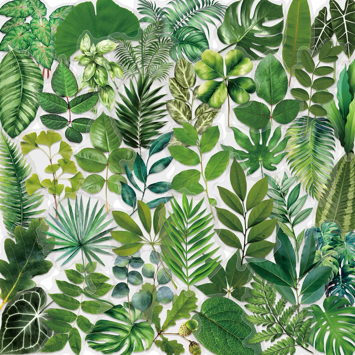 50 Adesivos Transparentes de Plantas Florais Verdes Feitos de Material PET, Adesivos Impermeáveis para Copos Térmicos, Refrigeradores e Laptops