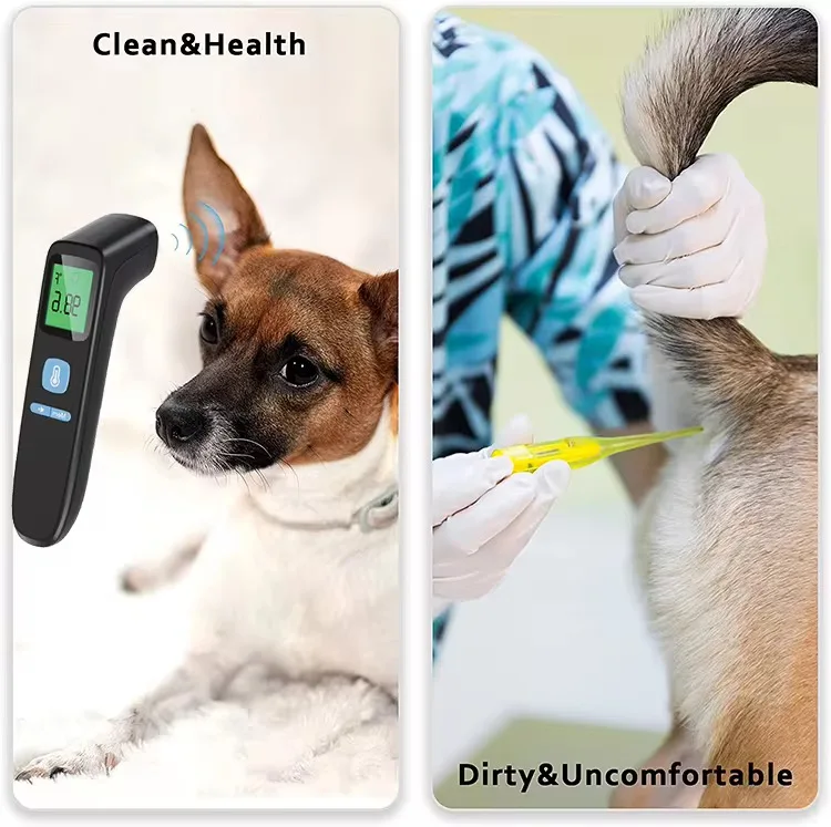 OEM/ODM Custom LCD Electric Infrared Forehead Thermometer for Dogs and Cats with Quick Response and Portable Design