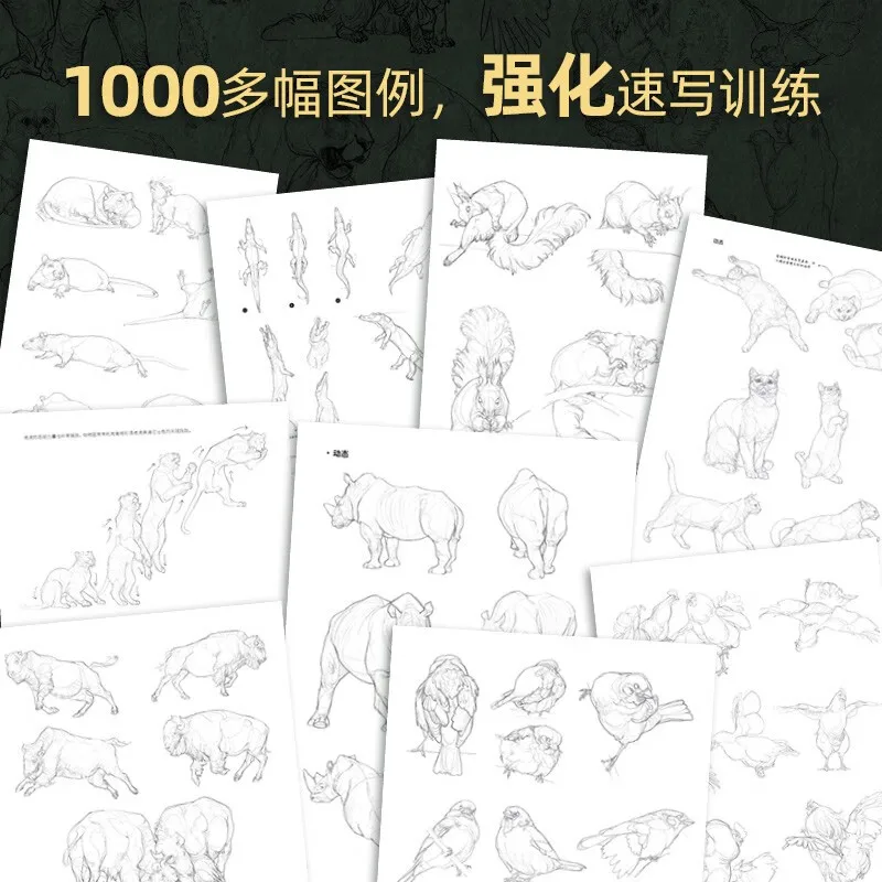 Animal Sketching Tracing Book Novice Self-study Tutorial Book