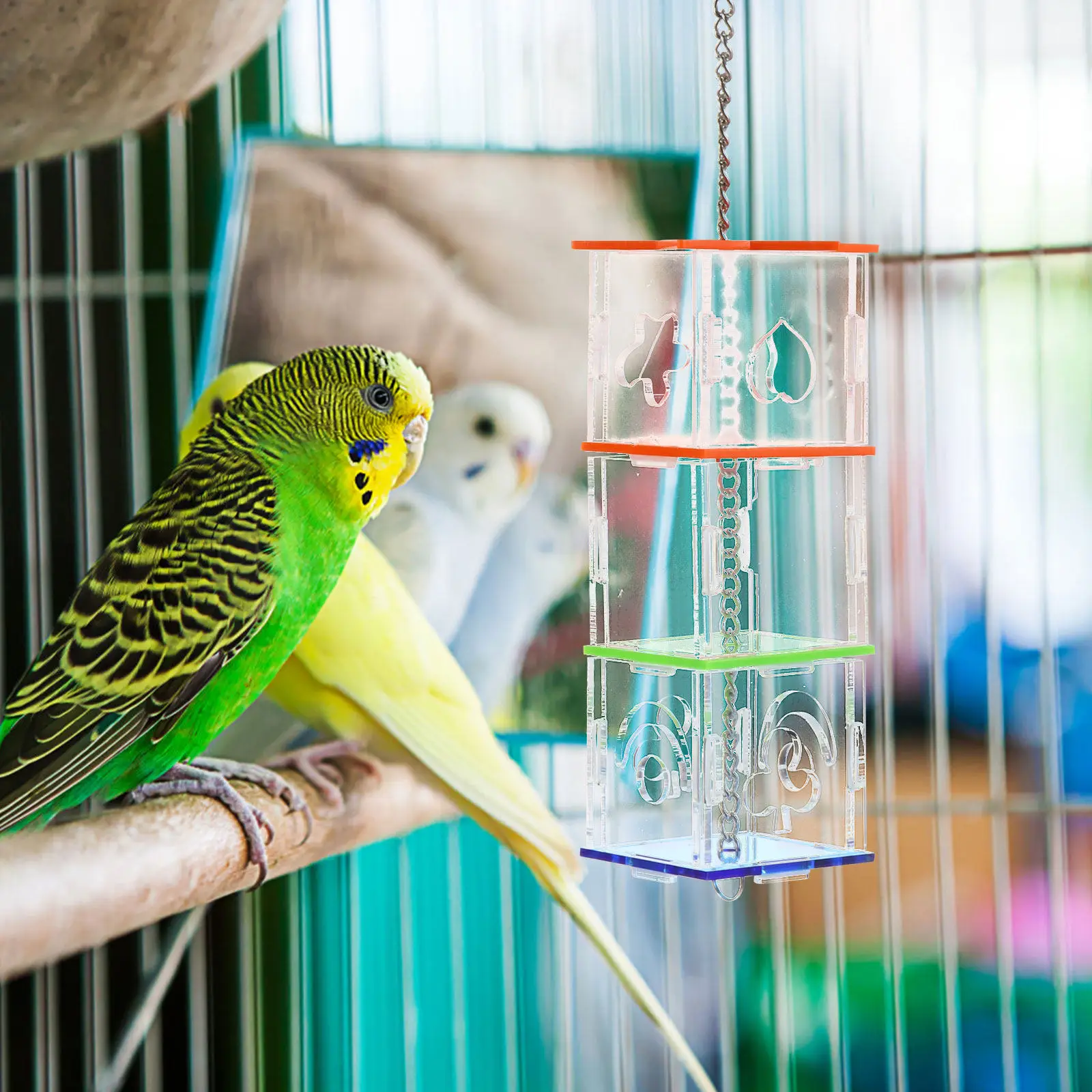 Hexagonal Bird Parrot Foraging Feeder Made of Premium Material Hanging Feeding Box for Intelligence Development Parrot Food