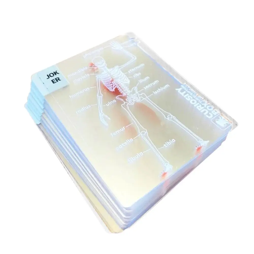 Full Skeleton Human Anatomy Playing Cards X-Ray Designs Educational Mannequin Body Deck The Body Deck Skeleton Playing Cards Kit