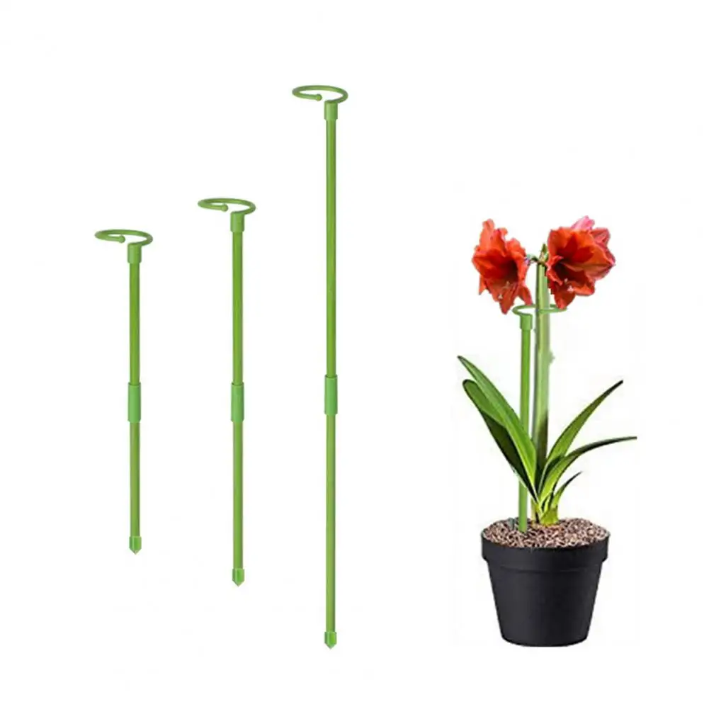 

Non-damaging Plant Supports Plant Support Stakes Set for Indoor Outdoor Vegetables Extendable Orchid Sticks with Ring for Tomato